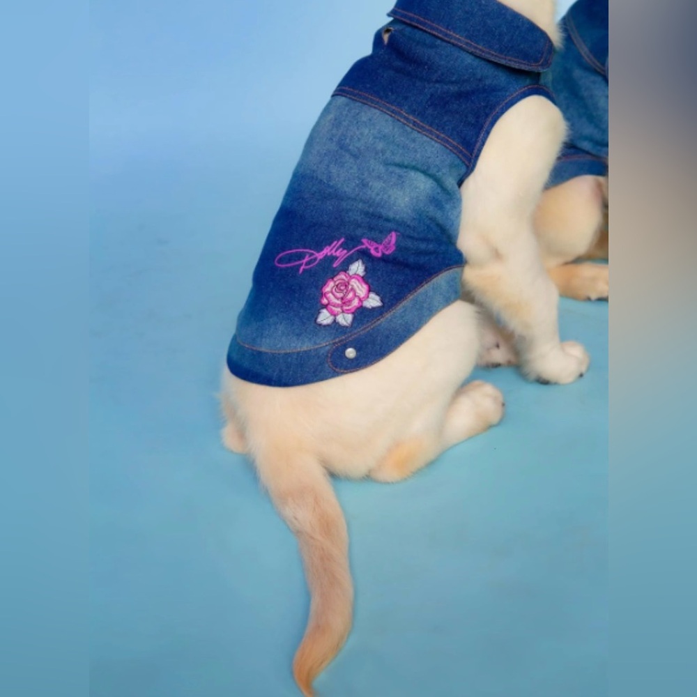 Dolly Parton Doggy Parton L Blue Denim Jacket with Collar for Dogs - Leash Open